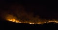australian bushfire of a forrest at Night in the nothern territory