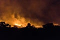 Australian bushfire of a forrest at Night in the nothern territory Royalty Free Stock Photo