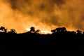 Australian bushfire of a forrest at Night in the nothern territory Royalty Free Stock Photo