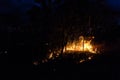 australian bushfire at Night next to a tree in the nothern territory Royalty Free Stock Photo