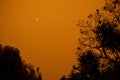 Australian bushfire: trees silhouettes and smoke from bushfires covers the sky and glowing sun barely seen through the smoke. Royalty Free Stock Photo