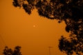 Australian bushfire: trees silhouettes and smoke from bushfires covers the sky and glowing sun barely seen through the smoke. Royalty Free Stock Photo