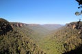 Australian bushland Near Fitzroy Falls Kangaroo Valley Royalty Free Stock Photo