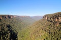 Australian bushland Near Fitzroy Falls Kangaroo Valley Royalty Free Stock Photo