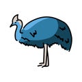 Australian cassowary color line illustration. Animals of Australia Royalty Free Stock Photo