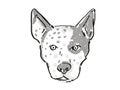Australian Cattle Dog Dog Breed Cartoon Retro Drawing