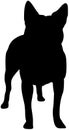 Australian Cattle Dog silhouette