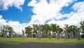 Australian Celtic Standing Stones