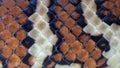 Australian Centralian Carpet Python Royalty Free Stock Photo