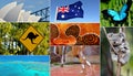 Australian collage