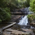 Australian Cool Temperate Rainforest water fall -Lady Barron Falls