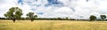 Australian Countryside Panorama