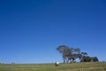Australian countryside Royalty Free Stock Photo