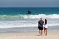 Australian couple sanding on a beach looking at a large female Humpback whale