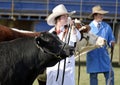 Australian cowgirl exhibits prize Angus bull at annual country show fair