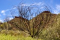 Australian desert, Kings Canyon, Northern Territory,Watarrka National Park, Australia Royalty Free Stock Photo