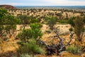 Australian desert (outback) Royalty Free Stock Photo