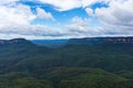 Australian eucalyptus forest of Blue Mountains National Park Royalty Free Stock Photo