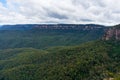 Australian eucalyptus forest of Blue Mountains National Park Royalty Free Stock Photo