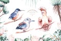 Australian exotic birds Animals Set Watercolor Kookaburra, pink cockatoo and Azure Kingfisher. Hand-painted illustration