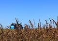 Australian farm land Royalty Free Stock Photo