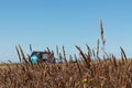 Australian farm land Royalty Free Stock Photo