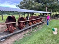Australian farmer feeding beef cattle