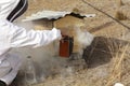 Australian farmer tending his bee hives