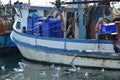 Australian fisherman feeds seabirds in Sydney Fish Market wharf