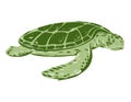 Australian Flatback Sea Turtle Side View WPA Art Royalty Free Stock Photo