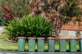Australian garbage wheelie bins with red lids for household waste lined up on the street near residential building for council
