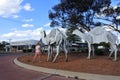 Australian girl looking at metal camels caravan sculptures on the main street of Norseman town Western Australia