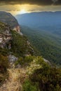 Australian heath or shrubland habitat Royalty Free Stock Photo