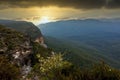 Australian heath or shrubland habitat