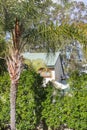 Australian house viewed through the trees with palm tree in foreground and gum trees behind Royalty Free Stock Photo