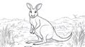 Outline drawing of a kangaroo sitting in a grassy landscape, Australia Royalty Free Stock Photo