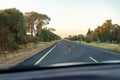 Australian Kangaroos Should Not Be On The Road