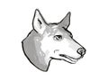 Australian Kelpie Dog Breed Cartoon Retro Drawing