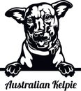 Australian Kelpie Dog - Peeking Dog Breed - Pet Dog Vector Portrait, Dog Silhouette Stencil