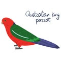 Australian king parrot in cartoon style on white background. Alisterus scapularis