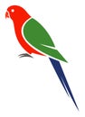 Australian King Parrot