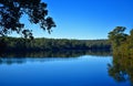Australian Lake Royalty Free Stock Photo