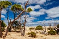 Cape Naturaliste in Australia