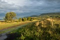 Australian landscape with farm fence Royalty Free Stock Photo