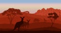 Australian landscape. Kangaroo silhouettes. Savannah scenery of Australia. Panoramic wildlife scene. Wilderness dusk Royalty Free Stock Photo