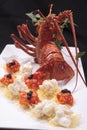 Australian lobster