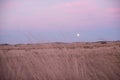 Australian Moon rising