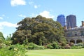 Australia/Sydney: Park with Moreton Bay Fig Tree Royalty Free Stock Photo