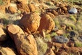 Australian mountain - detail Royalty Free Stock Photo