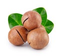 Australian not peeled macadamia nuts with green leaves